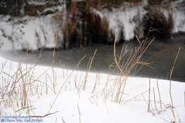 Winterse zondag in beeld