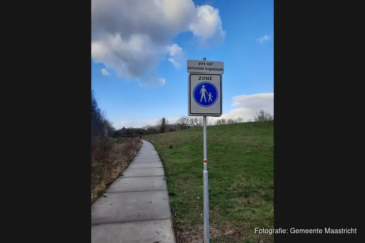Fiets of brom om en laat de muurhagedis met rust