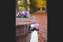 Een ‘groene’ uitvaart