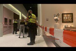 Twee aanhoudingen na overval op TEFAF in Maastricht