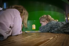 Museumtour door Nederland: Hollands Kaasmuseum Alkmaar viert 40-jarig jubileum