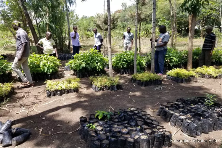 Duurzaam project, aanplanten van bomen in Kenia