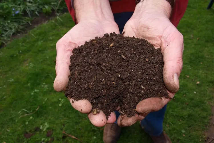 Gratis compost op de Landelijke Compostdag