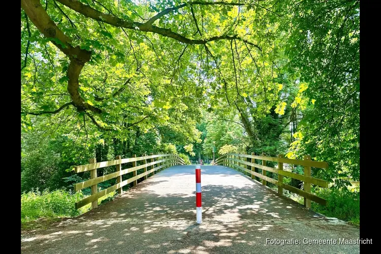 Tijdelijke voetgangersbrug in stadspark