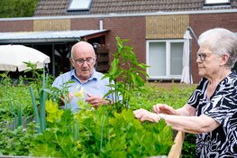 Groen dat verbindt: onze nieuwe visie op binnenhofjes, tuintjes en meer