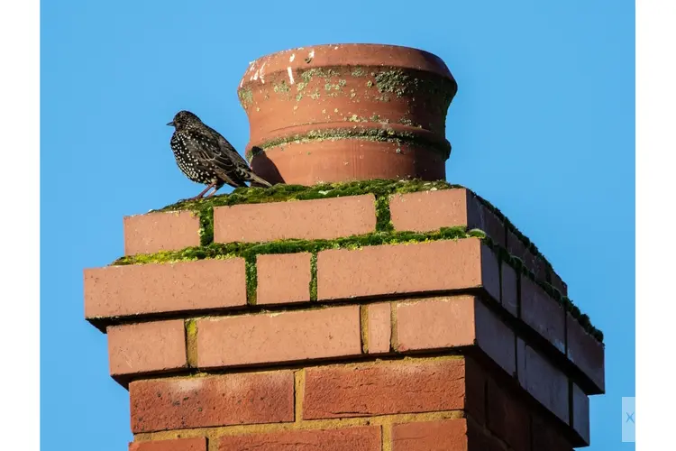 Uitstoot luchtverontreinigende stoffen lager dan norm voor 2030