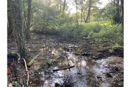 Eerste resultaten zichtbaar in aanpak waterproblemen Noorbeek