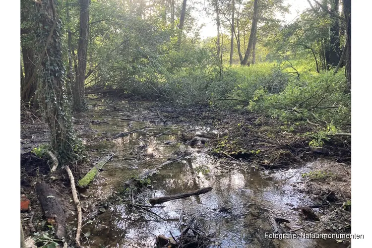 Eerste resultaten zichtbaar in aanpak waterproblemen Noorbeek