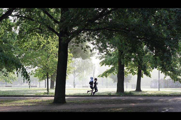 Limburgers op één na minst actief van Nederland