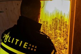 Nationaal Overzicht Drugslocaties 2025: aantal productielocaties daalt licht
