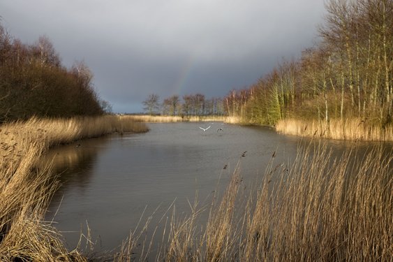 Meeste warmte uit de lucht: zomerweer blijft, maar met verkoeling
