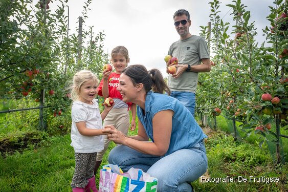 Limburgse fruittelers openen hun boomgaard: geniet van de oogst van dichtbij